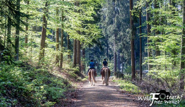 Scheune Anni Gutach Bagian luar foto